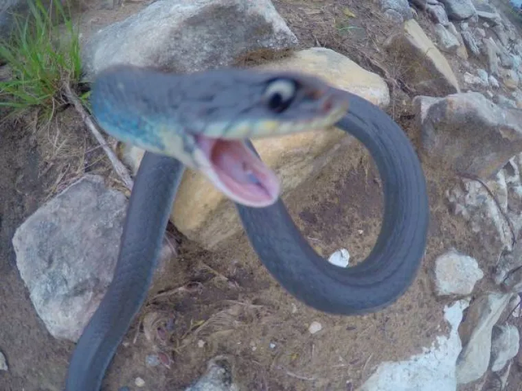 TOLIKO SE &Scaron;OKIRALI DA SU IM SLIKE ISPALE MUTNE: Urnebesna kolekcija pomalo jezivih fotki