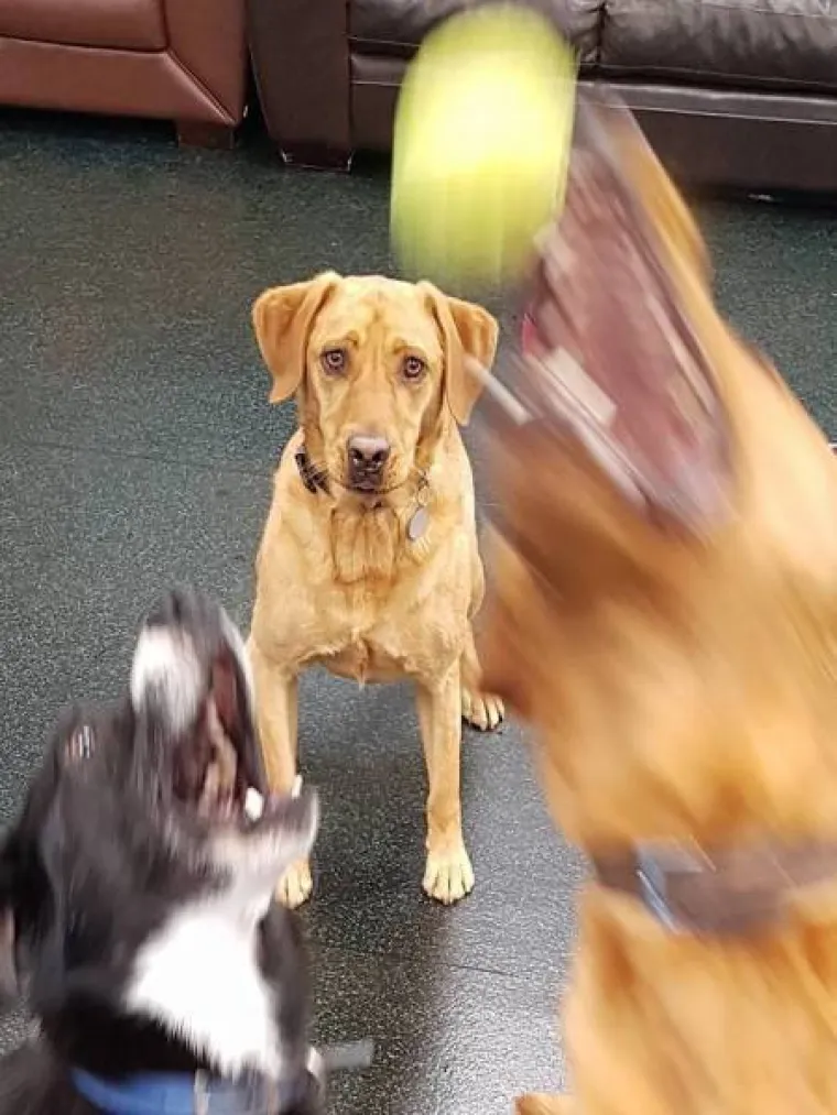 TOLIKO SE &Scaron;OKIRALI DA SU IM SLIKE ISPALE MUTNE: Urnebesna kolekcija pomalo jezivih fotki