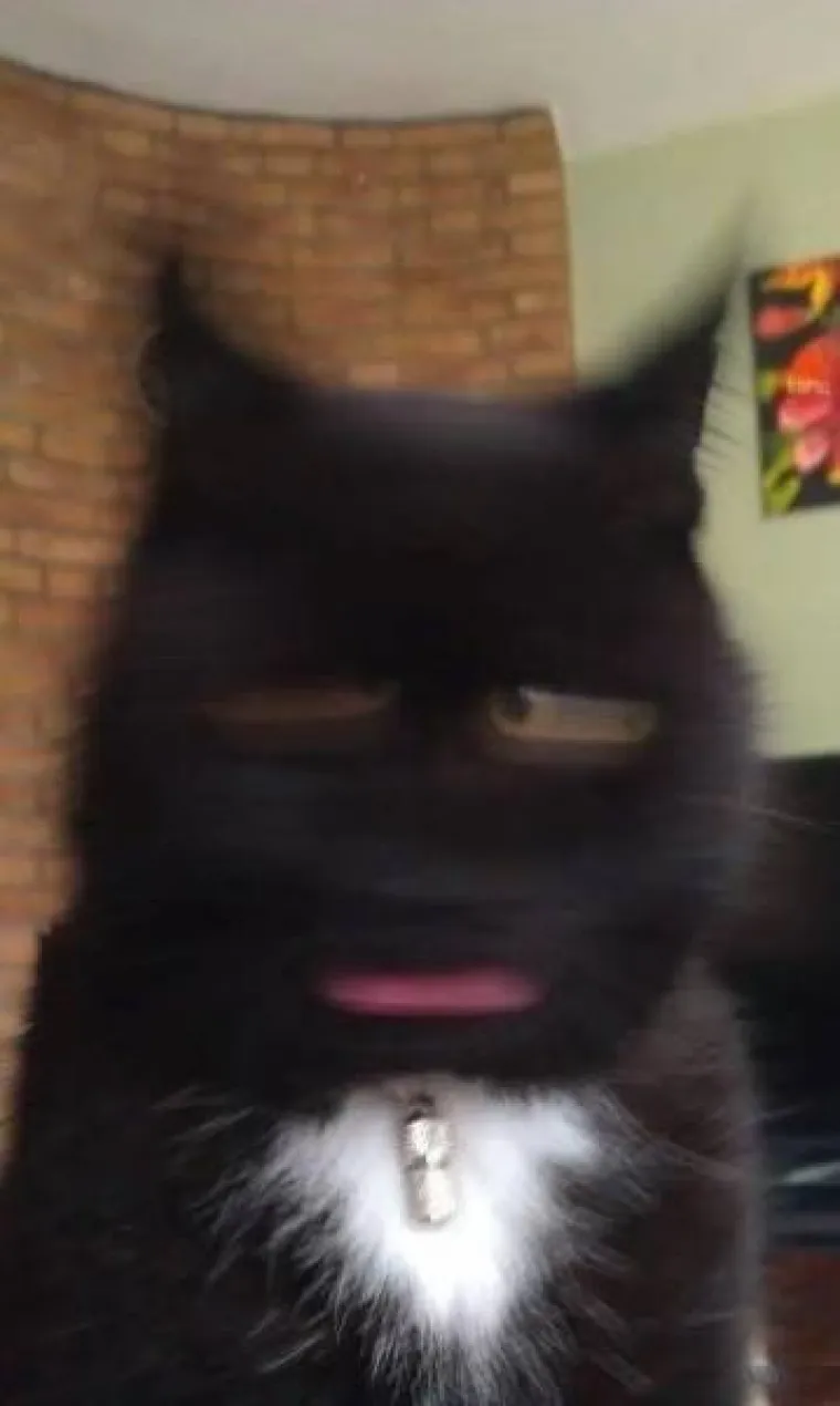 TOLIKO SE &Scaron;OKIRALI DA SU IM SLIKE ISPALE MUTNE: Urnebesna kolekcija pomalo jezivih fotki