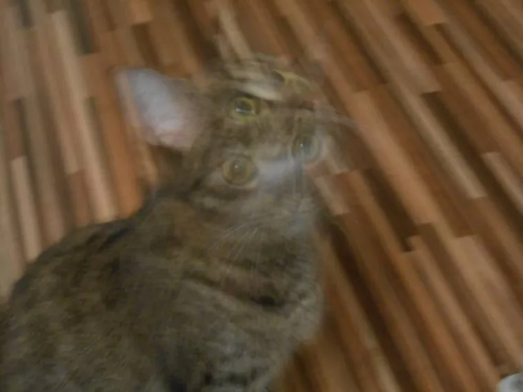 TOLIKO SE &Scaron;OKIRALI DA SU IM SLIKE ISPALE MUTNE: Urnebesna kolekcija pomalo jezivih fotki