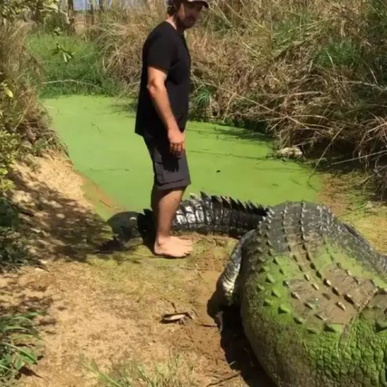 &Scaron;TO BISTE NAPRAVILI DA UGLEDATE OVO:  Prizori čistog užasa uz koje će i najhrabriji pokleknuti