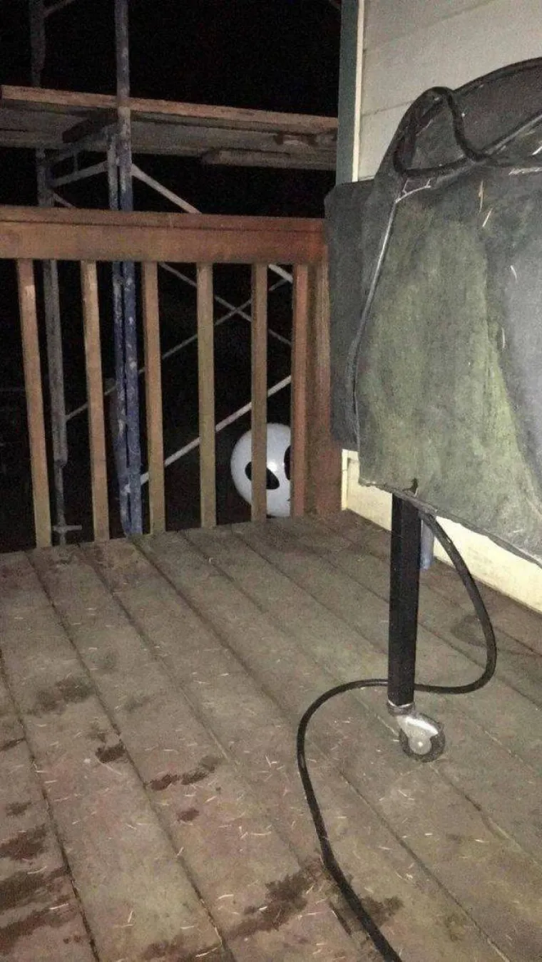 &Scaron;TO BISTE NAPRAVILI DA UGLEDATE OVO:  Prizori čistog užasa uz koje će i najhrabriji pokleknuti