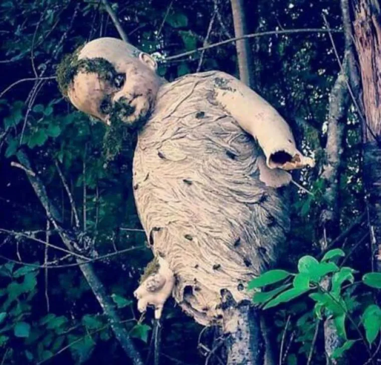 &Scaron;TO BISTE NAPRAVILI DA UGLEDATE OVO:  Prizori čistog užasa uz koje će i najhrabriji pokleknuti