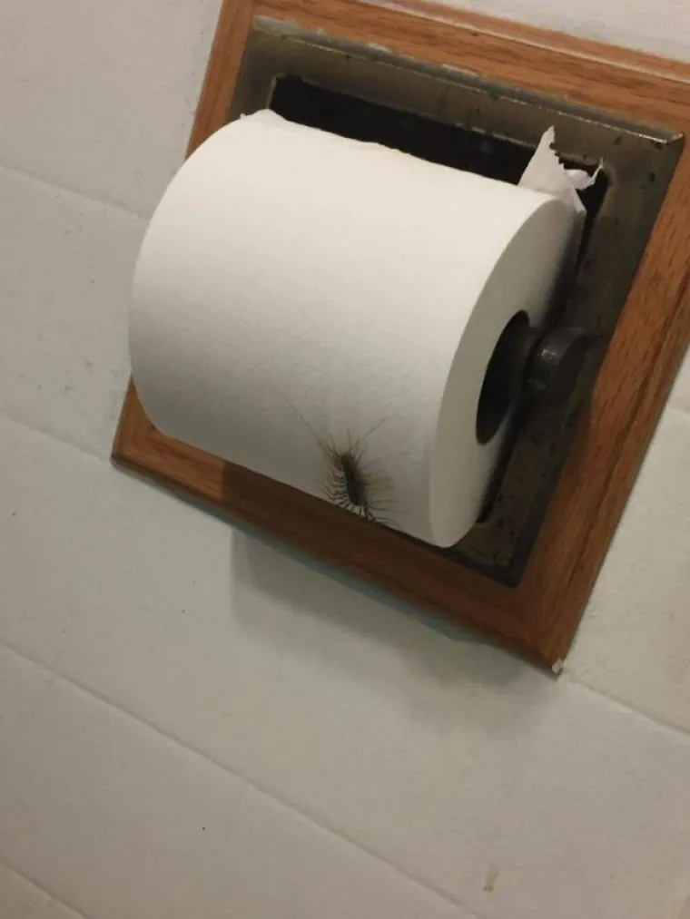 &Scaron;TO BISTE NAPRAVILI DA UGLEDATE OVO:  Prizori čistog užasa uz koje će i najhrabriji pokleknuti