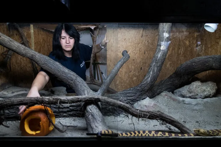 Zoolo&scaron;ki vrt u Zagrebu