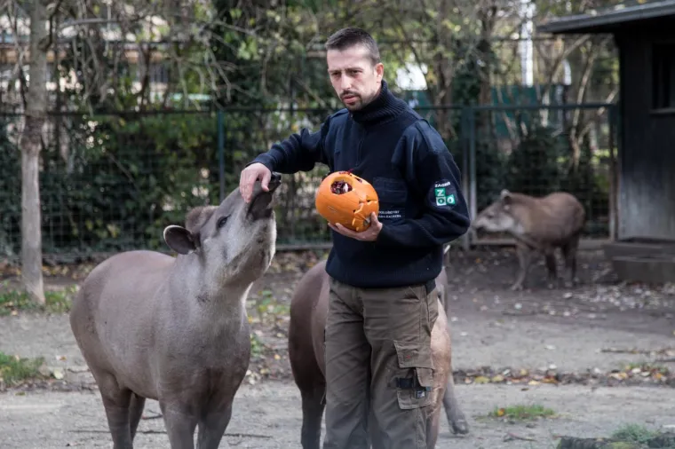 Zoolo&scaron;ki vrt u Zagrebu