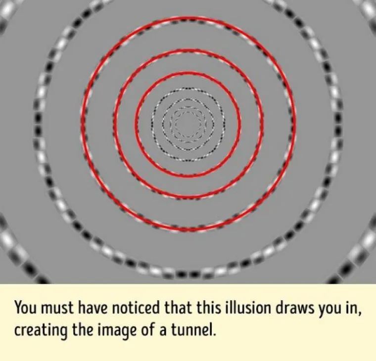 Slika vas uvlači i stvara dojam tunela, no riječ je o koncentričnim kružnicama.