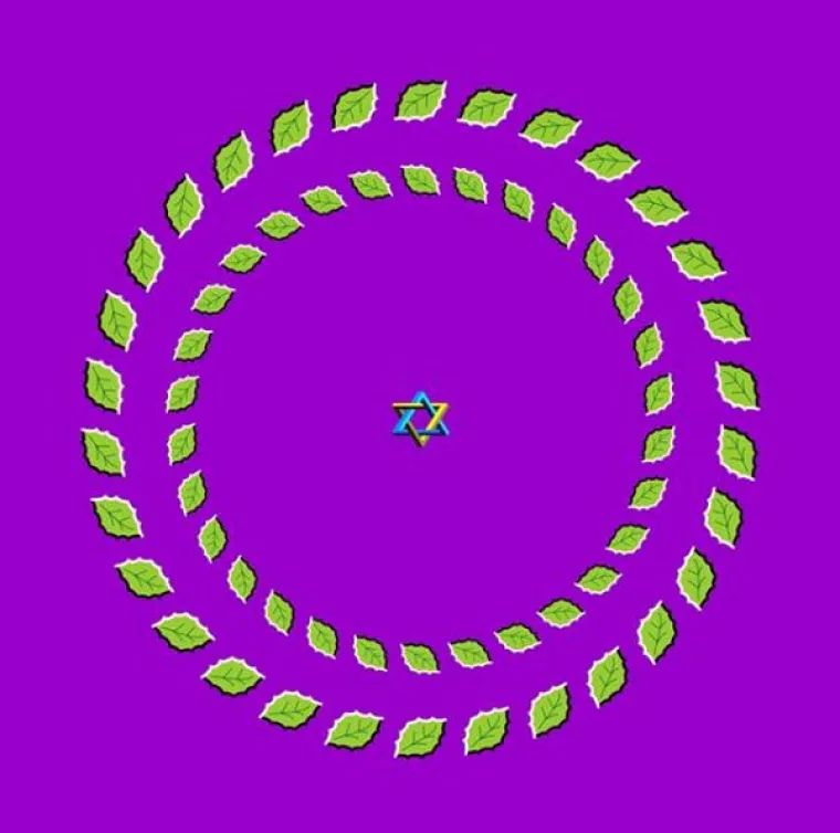 OPTIČKE ILUZIJE OD KOJIH BOLI GLAVA: Zbog njih će vam se zavrtjeti, a svejedno će vas prevariti