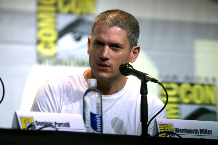 Američki glumac Wentworth Miller, poznat po ulozi u seriji Zakon braće, priznao je da je gay u u kolovozu 2013. u pismu kojeg je poslao direktoru filmskog festivala u St. Petersburgu koji ga je pozvao da održi govor kao poseban gost. Zasmetalo ga je, kako je objasnio u pismu, odnos ruske vlade prema homoseksualcima.