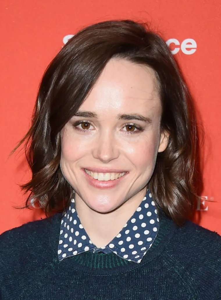 Holivudska glumica Ellen Page "iza&scaron;la je iz ormara" tijekom LGBT konferencije u Las Vegasu 2014. godine. "Ovdje sam danas zato &scaron;to sam gay i zato &scaron;to ću možda svojim priznanjem pomoći drugima", rekla je Page. "Dosta mi je skrivanja i laganja. Godinama sam patila jer sam se bojala priznati. Moj duh je patio, moha psihičko zdravlje je patilo i moja ljubavna veza je patila", kazala je.
