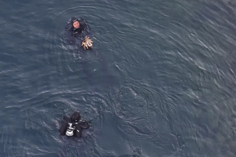 Danas je nastavljena potraga za tijelom pilota kanadera koji je pretpostavlja se, počinio samoubojstvo skokom s Masleničkog mosta