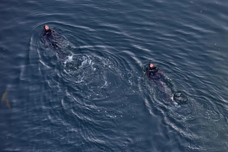 Danas je nastavljena potraga za tijelom pilota kanadera koji je pretpostavlja se, počinio samoubojstvo skokom s Masleničkog mosta