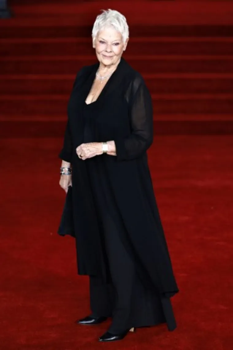 Dama Judi Dench