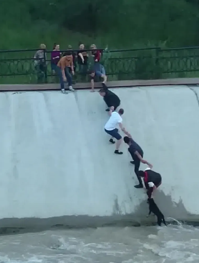 Prolaznici su napravili ljudski lanac kako bi spasili psa koji je upao u jezero u Kazahstanu.