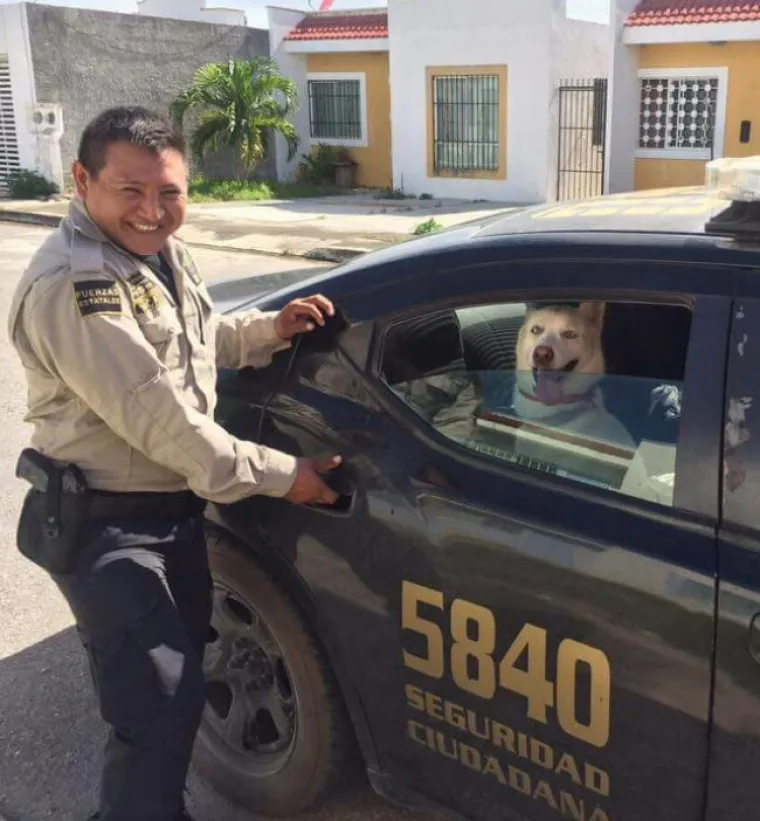 Trudnica je šetala psa kada je počela padati kiša. Pas je potrčao, ali ona ga nije mogla sustići. Policajac je ulovio psa i dovezao ga kući u automobilu.