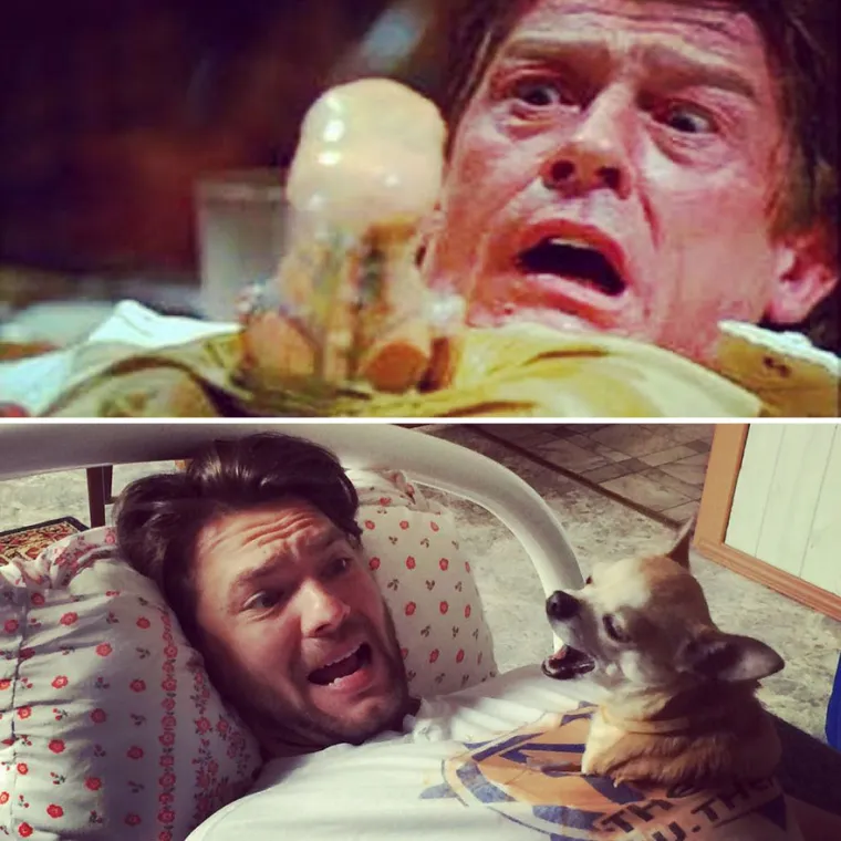 KRALJ JEFTINE ZABAVE: Radi kreativne kostime od stvari koje pronađe u kući i svejedno uspije nasmijati milijune