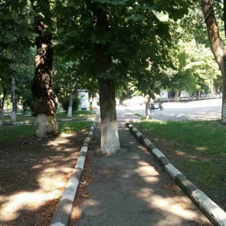 FOTKE KOJE RUSI OBJAVLJUJU NA DRU&Scaron;TVENIM MREŽAMA SU NE&Scaron;TO POSEBNO: Ponose se slikama koje drugi bri&scaron;u