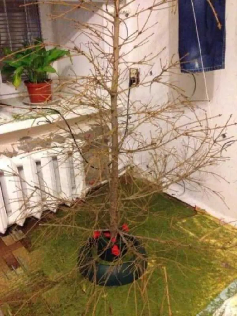 KAD SE LIJENČINE PRIME POSLA, REZULTATI SU URNEBESNI: Imaju lijek protiv svakog oblika suvi&scaron;nog kretanja