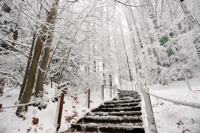SNJEŽNI POKRIVAČ ZABIJELIO SLJEME: Od ranog jutra pada snijeg, pogledajte čarobne prizore na Medvednici
