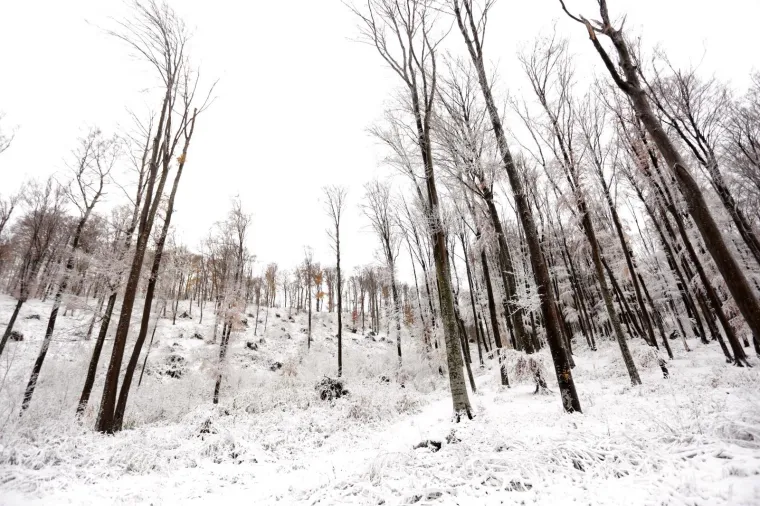 SNJEŽNI POKRIVAČ ZABIJELIO SLJEME: Od ranog jutra pada snijeg, pogledajte čarobne prizore na Medvednici