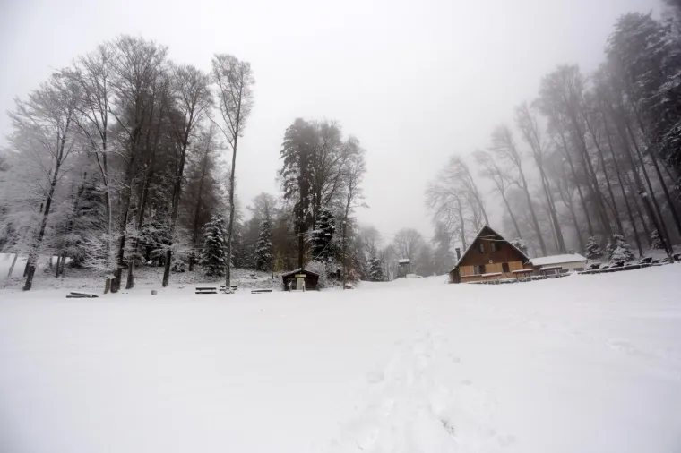 SNJEŽNI POKRIVAČ ZABIJELIO SLJEME: Od ranog jutra pada snijeg, pogledajte čarobne prizore na Medvednici