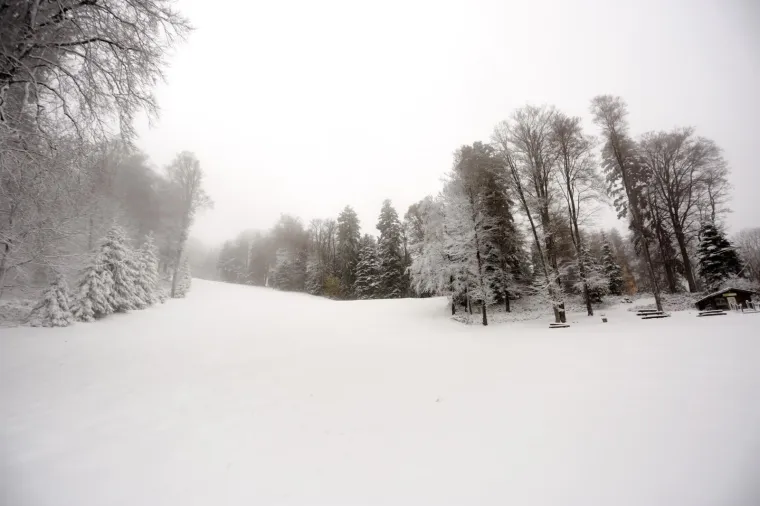 SNJEŽNI POKRIVAČ ZABIJELIO SLJEME: Od ranog jutra pada snijeg, pogledajte čarobne prizore na Medvednici