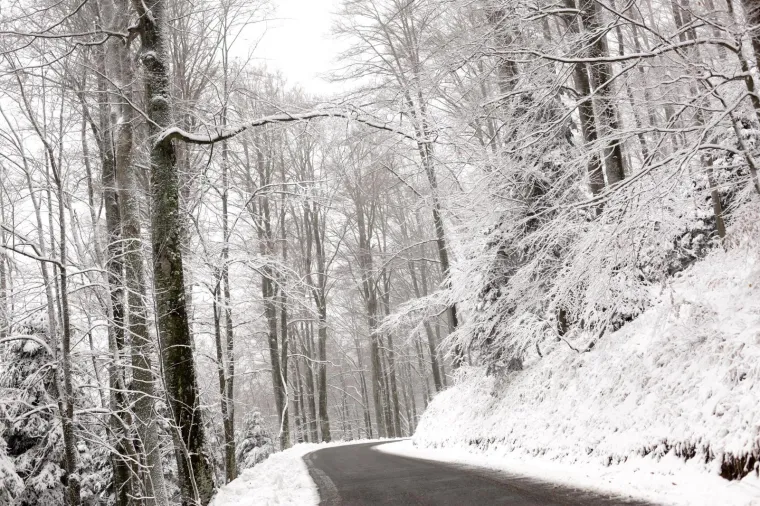 SNJEŽNI POKRIVAČ ZABIJELIO SLJEME: Od ranog jutra pada snijeg, pogledajte čarobne prizore na Medvednici