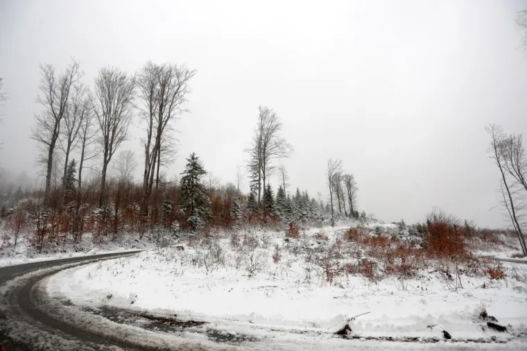 SNJEŽNI POKRIVAČ ZABIJELIO SLJEME: Od ranog jutra pada snijeg, pogledajte čarobne prizore na Medvednici