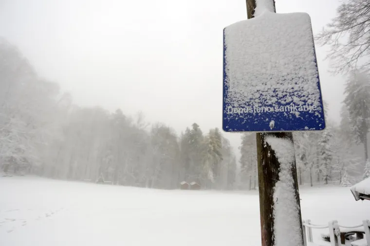 SNJEŽNI POKRIVAČ ZABIJELIO SLJEME: Od ranog jutra pada snijeg, pogledajte čarobne prizore na Medvednici