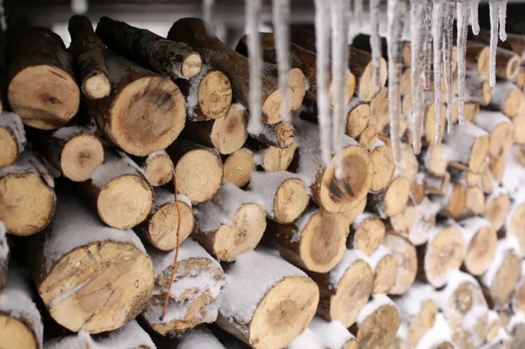 SNJEŽNI POKRIVAČ ZABIJELIO SLJEME: Od ranog jutra pada snijeg, pogledajte čarobne prizore na Medvednici