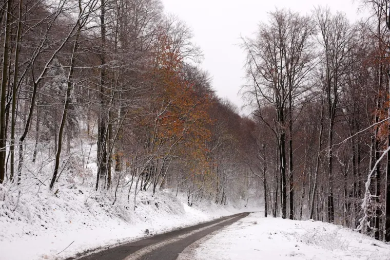 SNJEŽNI POKRIVAČ ZABIJELIO SLJEME: Od ranog jutra pada snijeg, pogledajte čarobne prizore na Medvednici