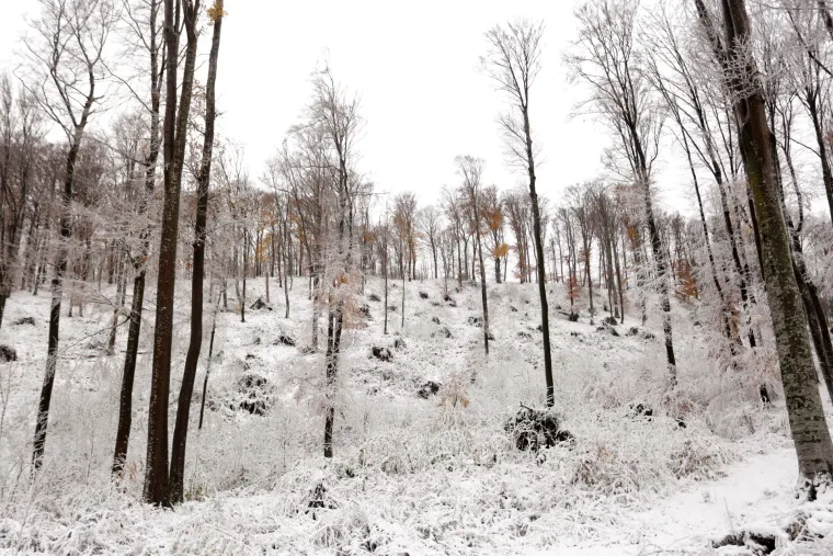 Bajkoviti prizori na Sljemenu: vrh Medvednice zabijelio snježni pokrivač