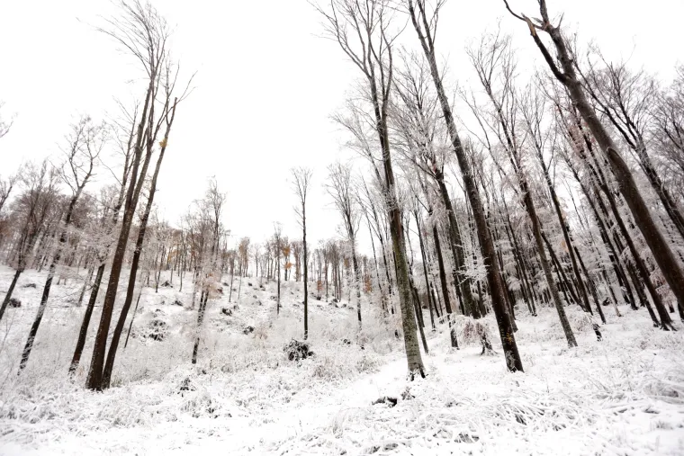 Bajkoviti prizori na Sljemenu: vrh Medvednice zabijelio snježni pokrivač