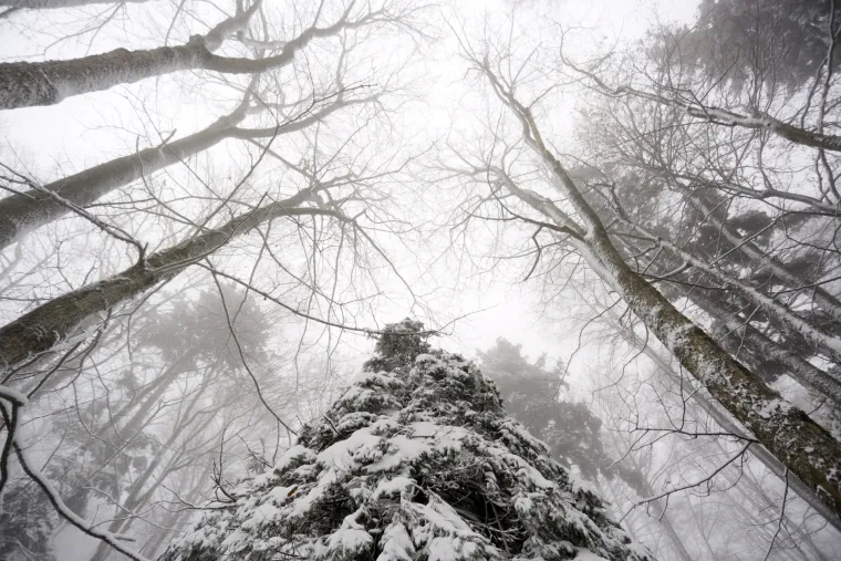 Bajkoviti prizori na Sljemenu: vrh Medvednice zabijelio snježni pokrivač