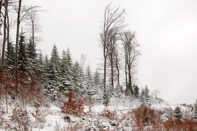 Bajkoviti prizori na Sljemenu: vrh Medvednice zabijelio snježni pokrivač
