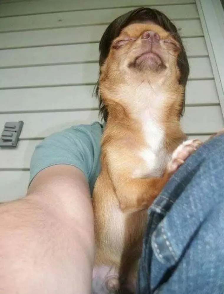 Selfieji koji su se pretvorili u potpuni proma&scaron;aj - na na&scaron;u sreću