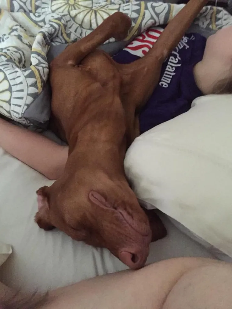 ONI ZNAJU KAKO SE NAJUDOBNIJE U&Scaron;U&Scaron;KATI: Prona&scaron;li su idealne pozicije za hladno vrijeme, učite od ovih majstora