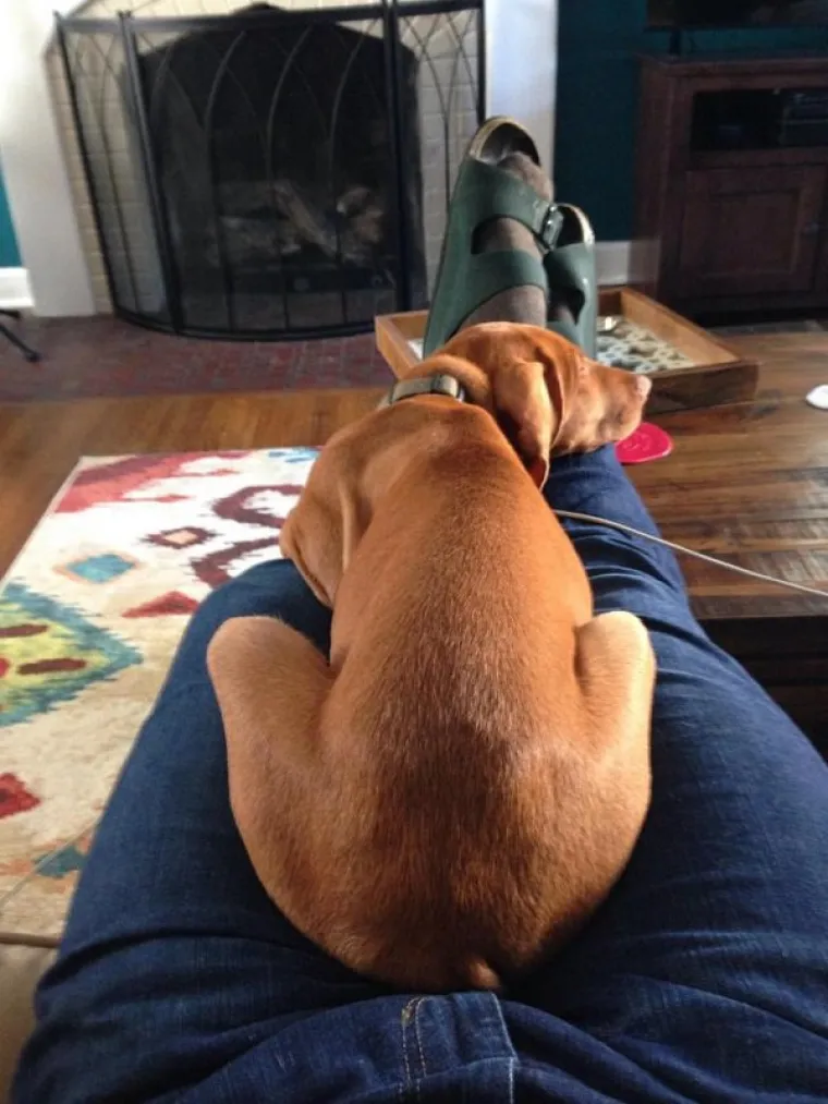 ONI ZNAJU KAKO SE NAJUDOBNIJE U&Scaron;U&Scaron;KATI: Prona&scaron;li su idealne pozicije za hladno vrijeme, učite od ovih majstora