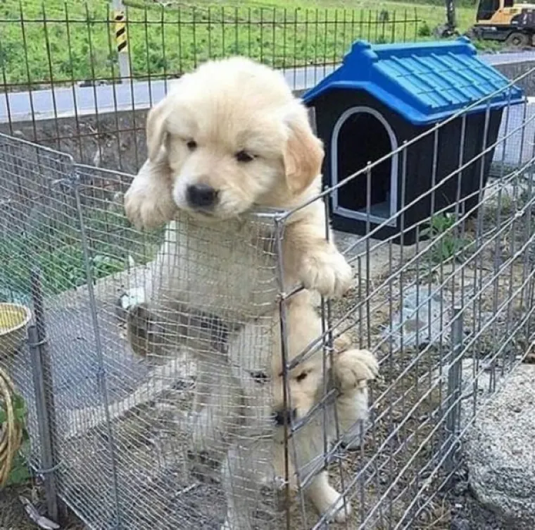 NEKE STVARI SE MOGU RADITI SAMO U TANDEMU: Timski  rad daje najbolje rezultate, a oni su dokaz