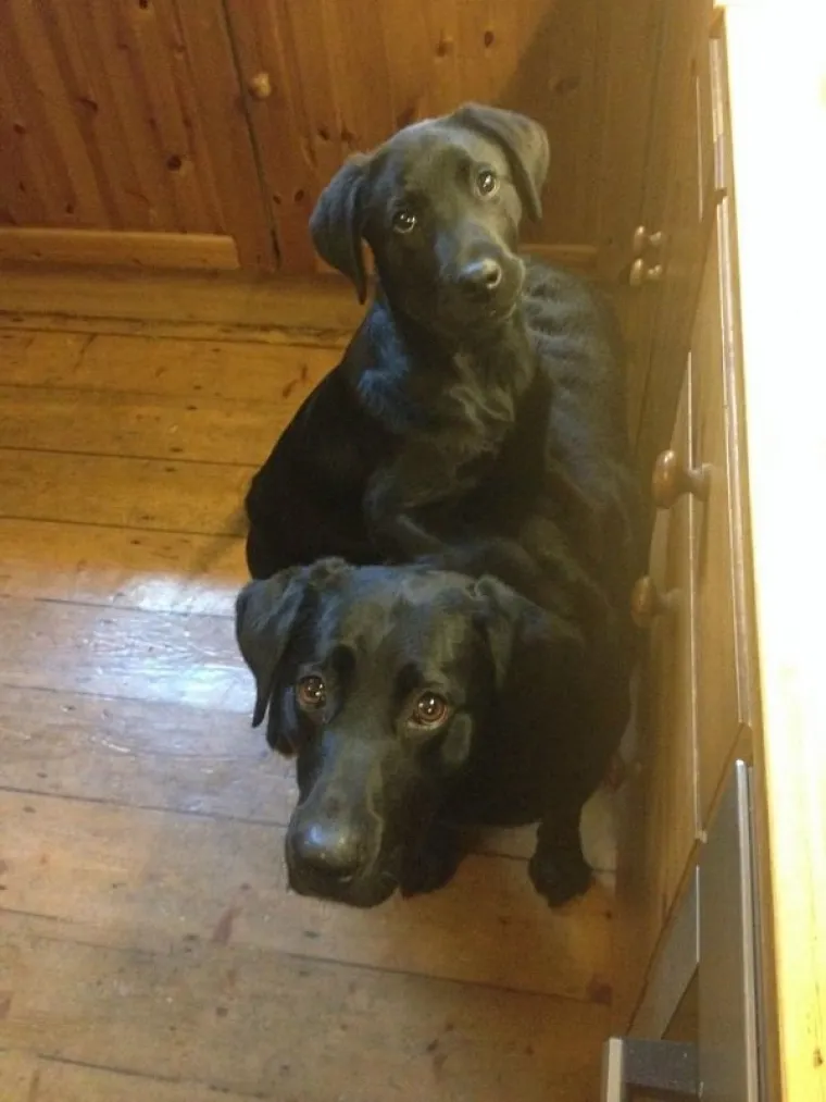 NEKE STVARI SE MOGU RADITI SAMO U TANDEMU: Timski  rad daje najbolje rezultate, a oni su dokaz