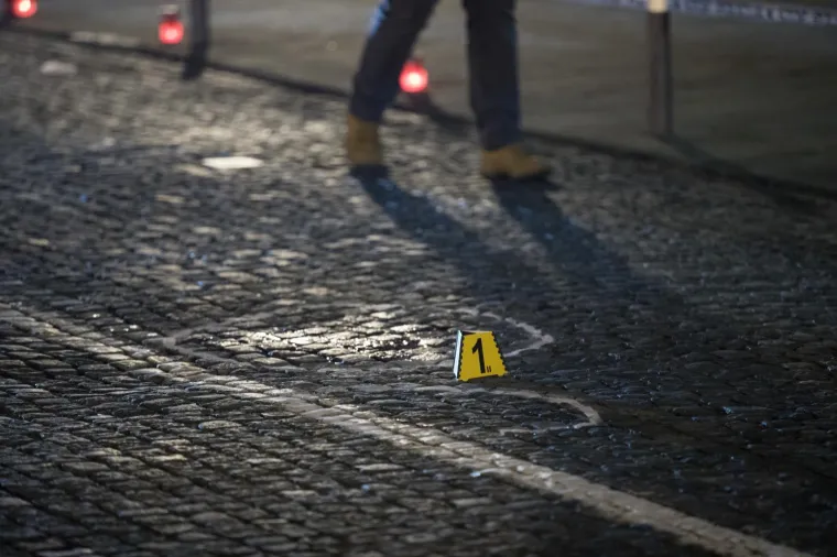 TRAGIČNO STRADALO DIJETE U SAMOBORU: Prelazili cestu kad je na njih naletio automobil