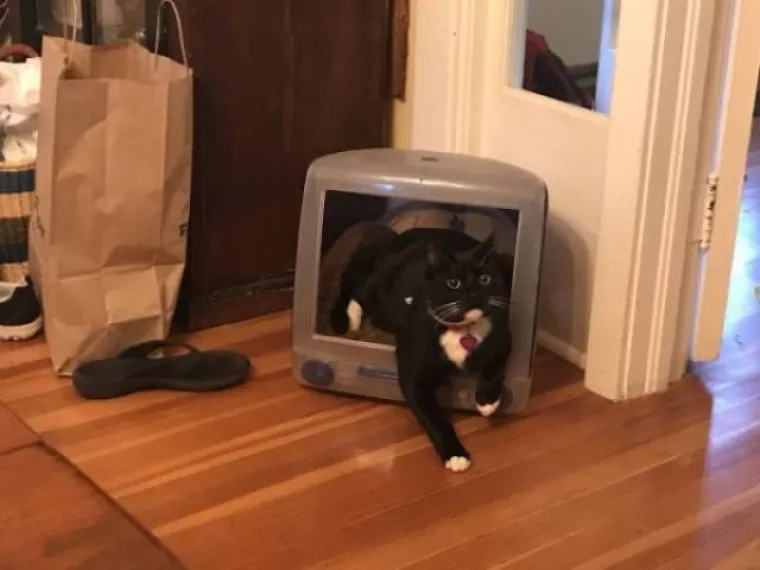 GENIJALNI IZUMI IZ KUĆNE RADINOSTI: Rje&scaron;enja im nisu ba&scaron; lijepa, ali čini se da funkcioniraju!