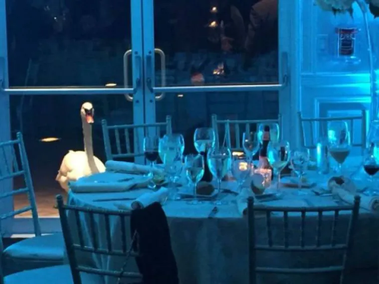 FOTKE KOJE NE ŽELE NITI JEDNI MLADENCI: Fotografi na vjenčanjima zabilježe vrlo bizarne slike
