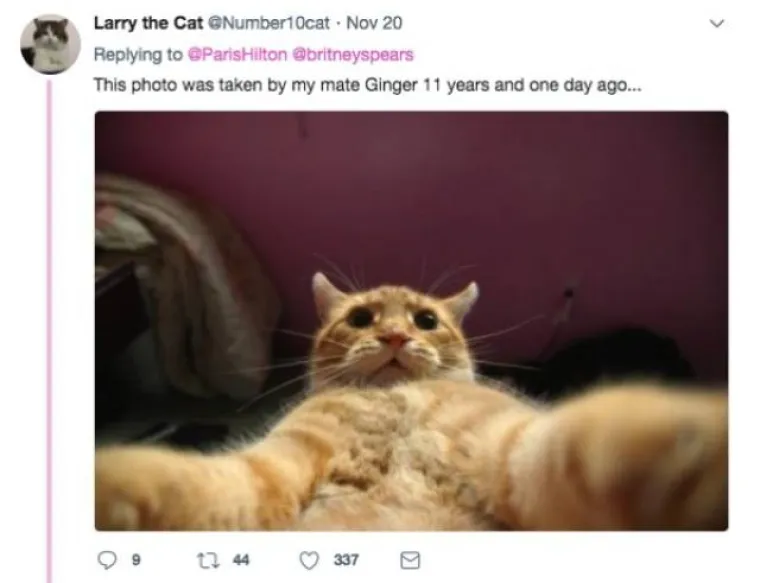 PARIS HILTON POHVALILA SE DA JE IZMISLILA SELFIE: Korisnici Twittera vrlo su brzo opovrgnuli njezinu tvrdnju