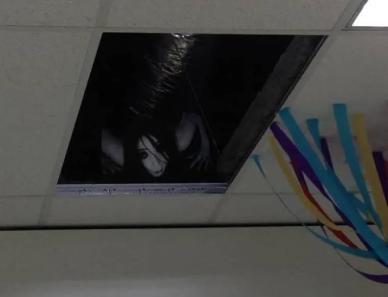 ZNAJU KAKO NAŽIVCIRATI KOLEGE S POSLA: Usavr&scaron;ili su svoj hobi, njihove metode jamče nemir u uredu