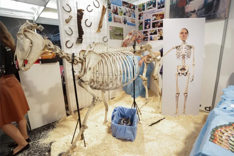 Sveučili&scaron;ta predstavila svoje programe na 22. Smotri u Studentskom centru