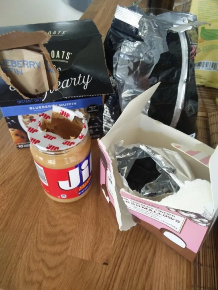 SITNICE KOJE POTPUNO IZBACUJU IZ TAKTA: Pogledajte ove slike i poku&scaron;ajte se ne naživcirati