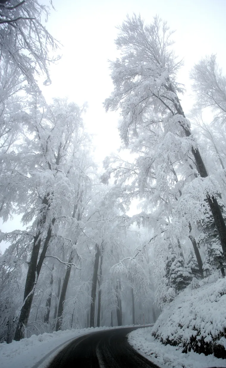 Snježna idila: pogledajte prekrasne fotografije Sljemena na kojem je jutros izmjereno 18 centimetara snijega