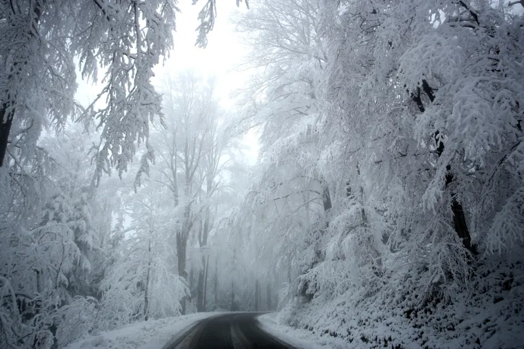 Snježna idila: pogledajte prekrasne fotografije Sljemena na kojem je jutros izmjereno 18 centimetara snijega