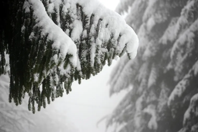 POGLEDAJTE KAKO IZGLEDA SLJEME POD DEBELIM SNJEŽNIM POKRIVAČEM: Jutros je izmjereno 18 cm